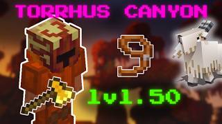 The New Torrhus Canyon Update is INSANE... (Hypixel Skyblock)