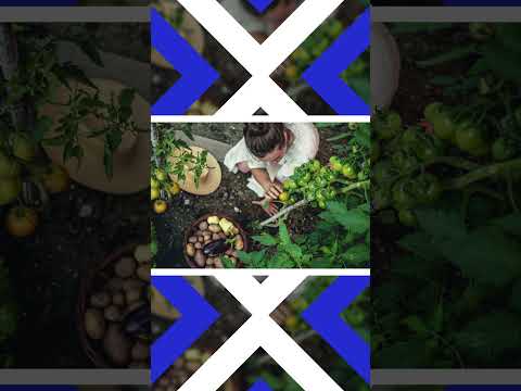 Palestra SIPAT Rio do Sul | Motivação - Superação para o trabalho | Vídeos para WhatsApp