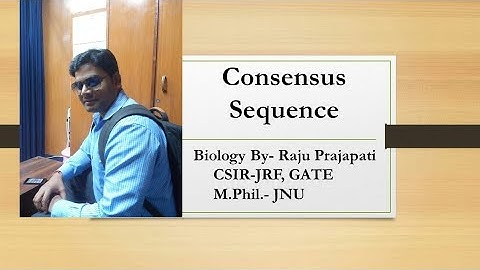 Consensus sequences in DNA/RNA