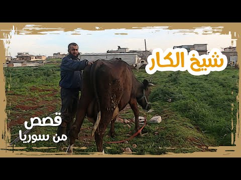 علي زهرة شيخ الكار في تربية الأبقار