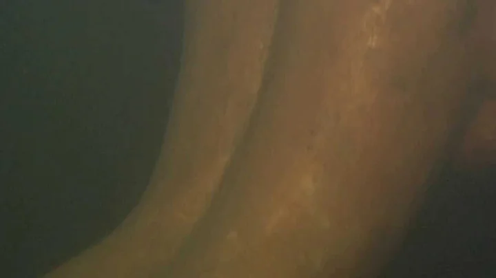 MOV06F