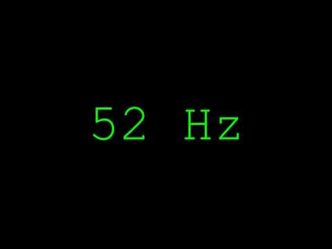 Bass Test   2000Hz   1Hz   Test your Subwoofer or Headphones how low can you go