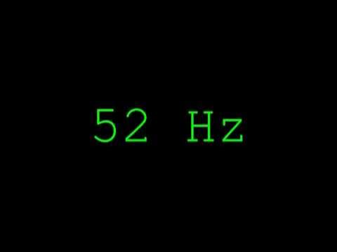 Bass Test - 2000Hz - 1Hz /  Test your Subwoofer or Headphones, how low can you go?
