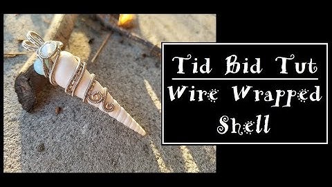 Tid bit shell pendant