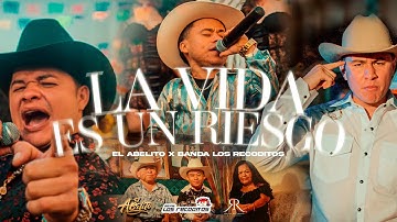 Life Is a Risk - Abelito Ft Banda Los Recoditos (Official Video)