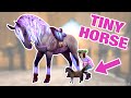 The Smallest Horses in Star Stable || April Fool&#39;s Let&#39;s Play