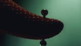 Keglevich It Hurts Strawberry Vodka Tv Commercial Herz Brand Interface