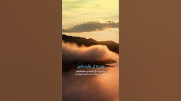 كذبت قبلهم قوم نوح #سورة_القمر #قران #قران_كريم #عمير #راحة_نفسية