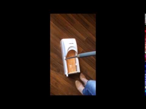 ახალი ბახილი