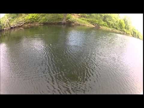 Fly Fishing the Norfork River 5/11/2014 - YouTube