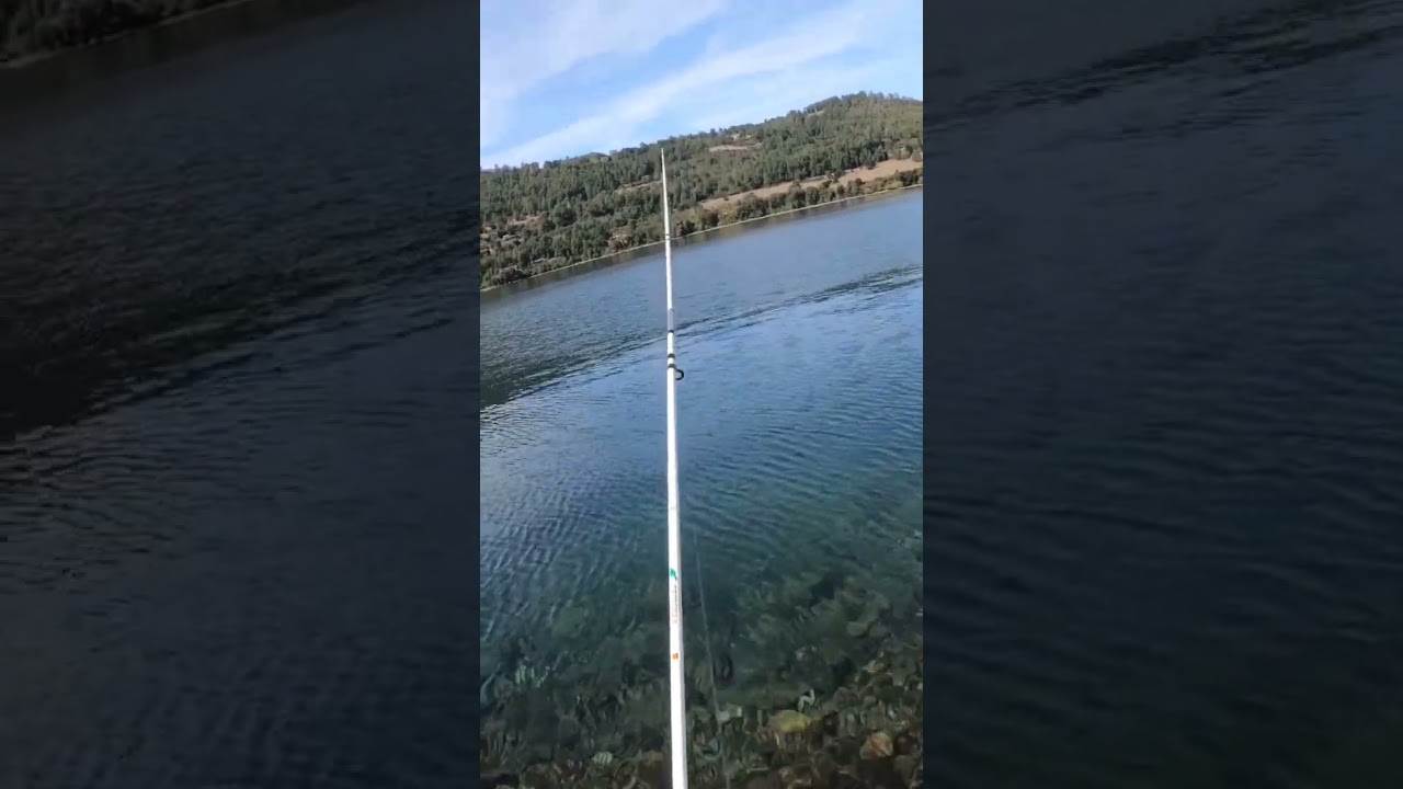 Prueba señuelo lago Calafquén