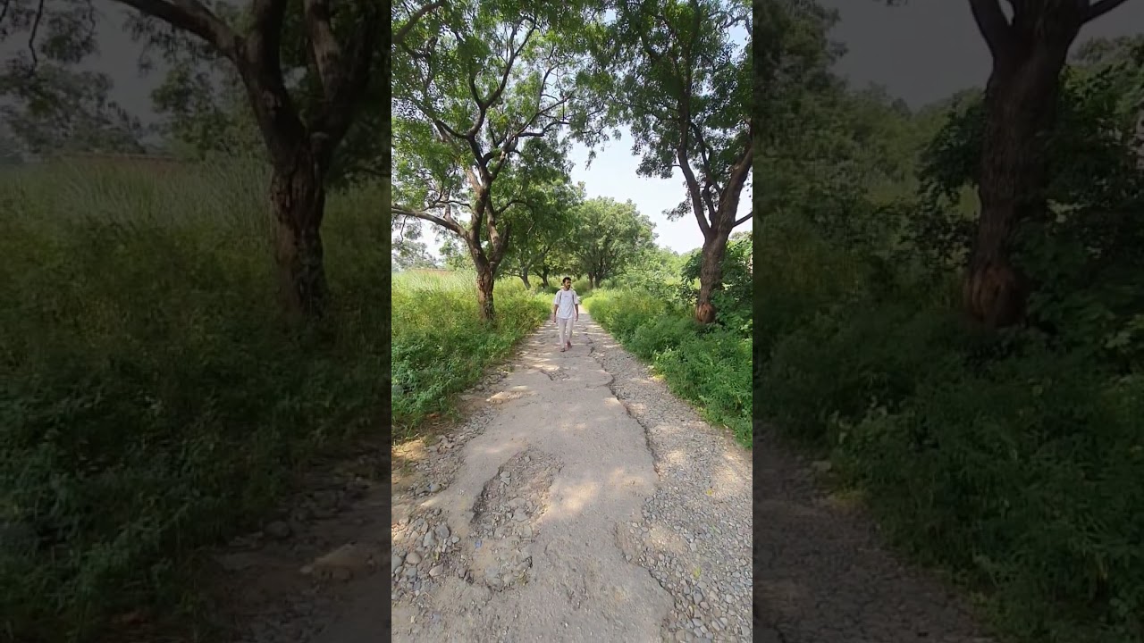 New wide reel trend want to see go to Instagram yuvrajst7 #shorts #reels #sehar