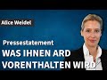 WAS IHNEN #ARD VORENTHALTEN WIRD! | Alice Weidel (AfD)