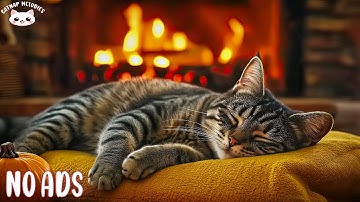 Cat Healing Music 🐈 Deep Soothing Music for Anxious, Ill, and Stressed Cats