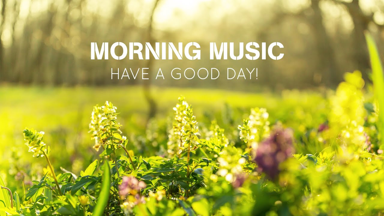 Morning Relaxing Music - Piano Music for Stress Relief and Studying - Soft Peaceful Birds Singing Morning Relaxing Music - Piano Music for Stress Relief and Studying - Soft Peaceful Birds Singing