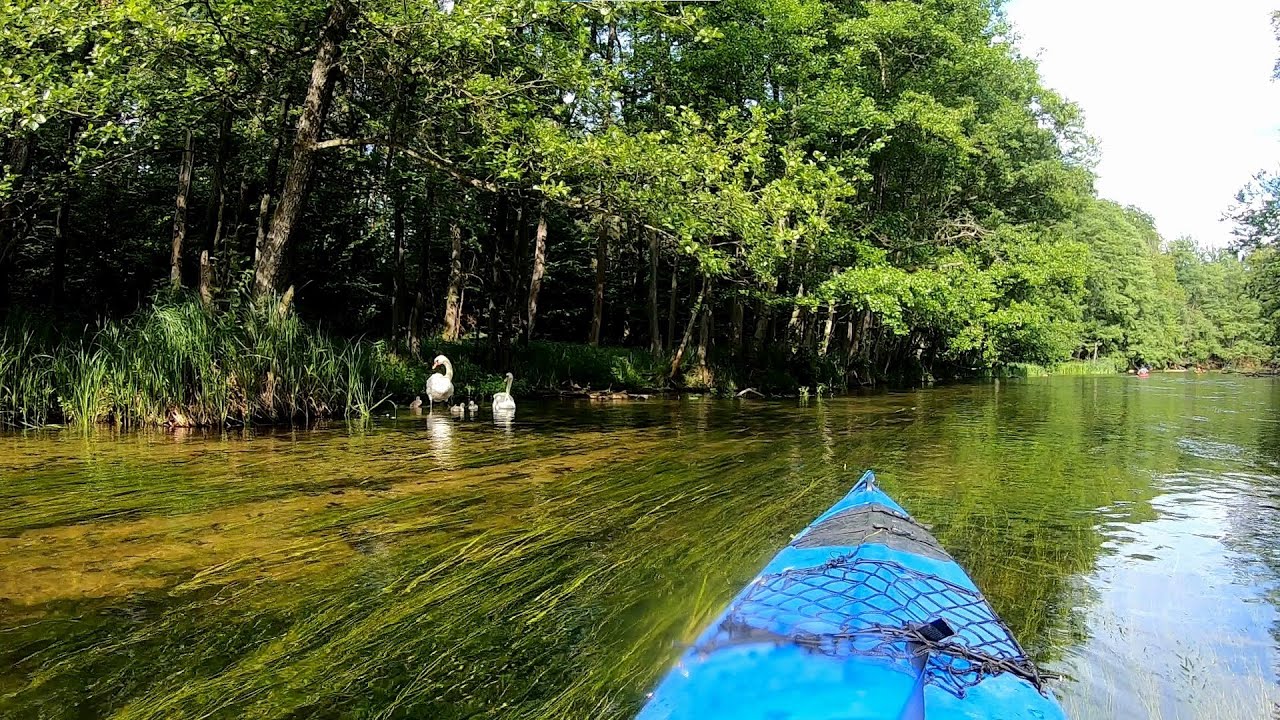 Drawa, spływ kajakowy, Złocieniec-Rzelaźnica (5dni, 89km)