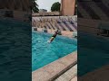 Diving karnal poolshorts reels swimming diving chandigarh karnal