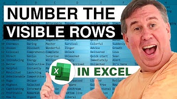Excel - How to Number the Visible Rows in Excel - Episode 1476