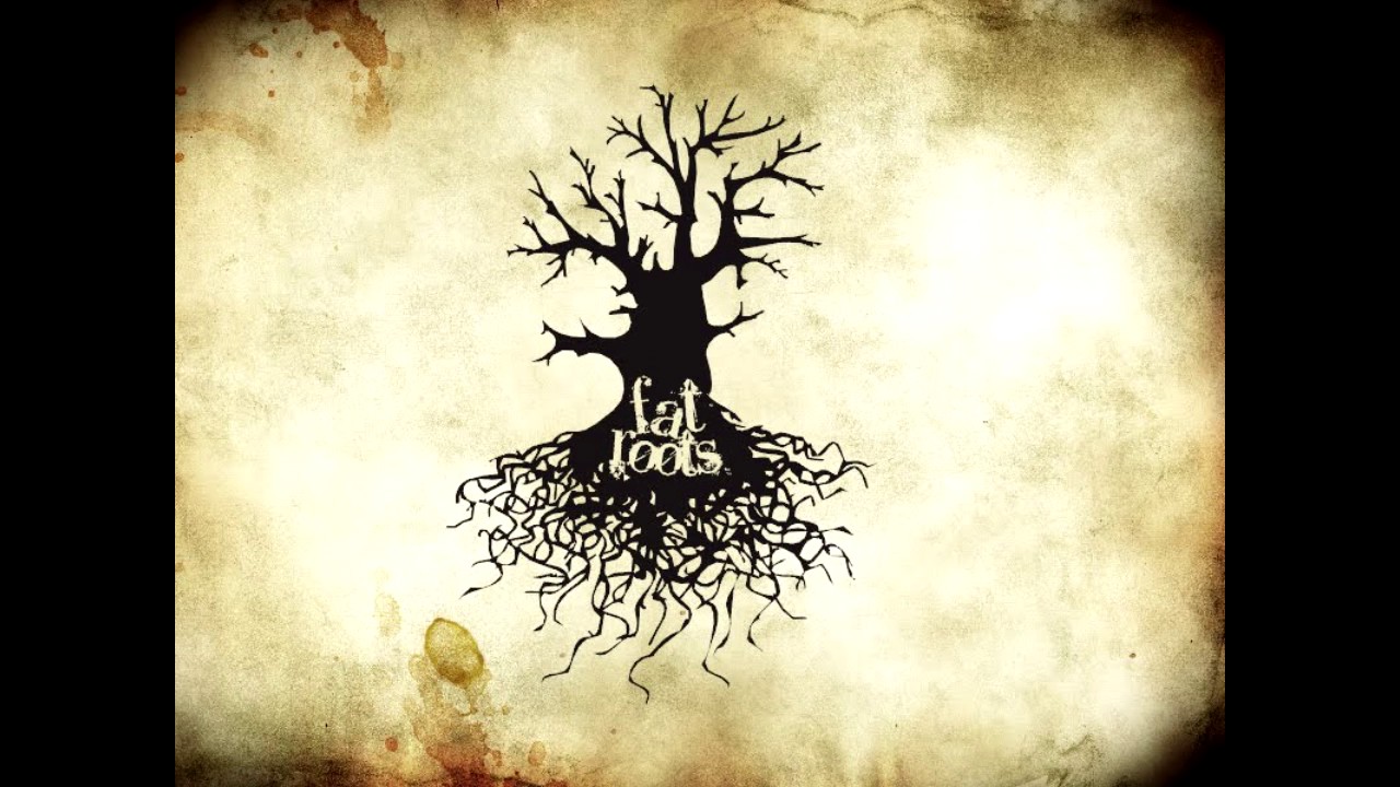 Fat Roots Demo Completo (covers)