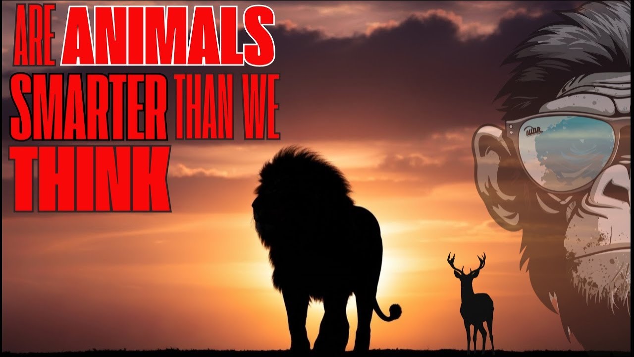 Truth Animals Do Animals Have Culture? The Shocking Truth About Animal Traditions ...