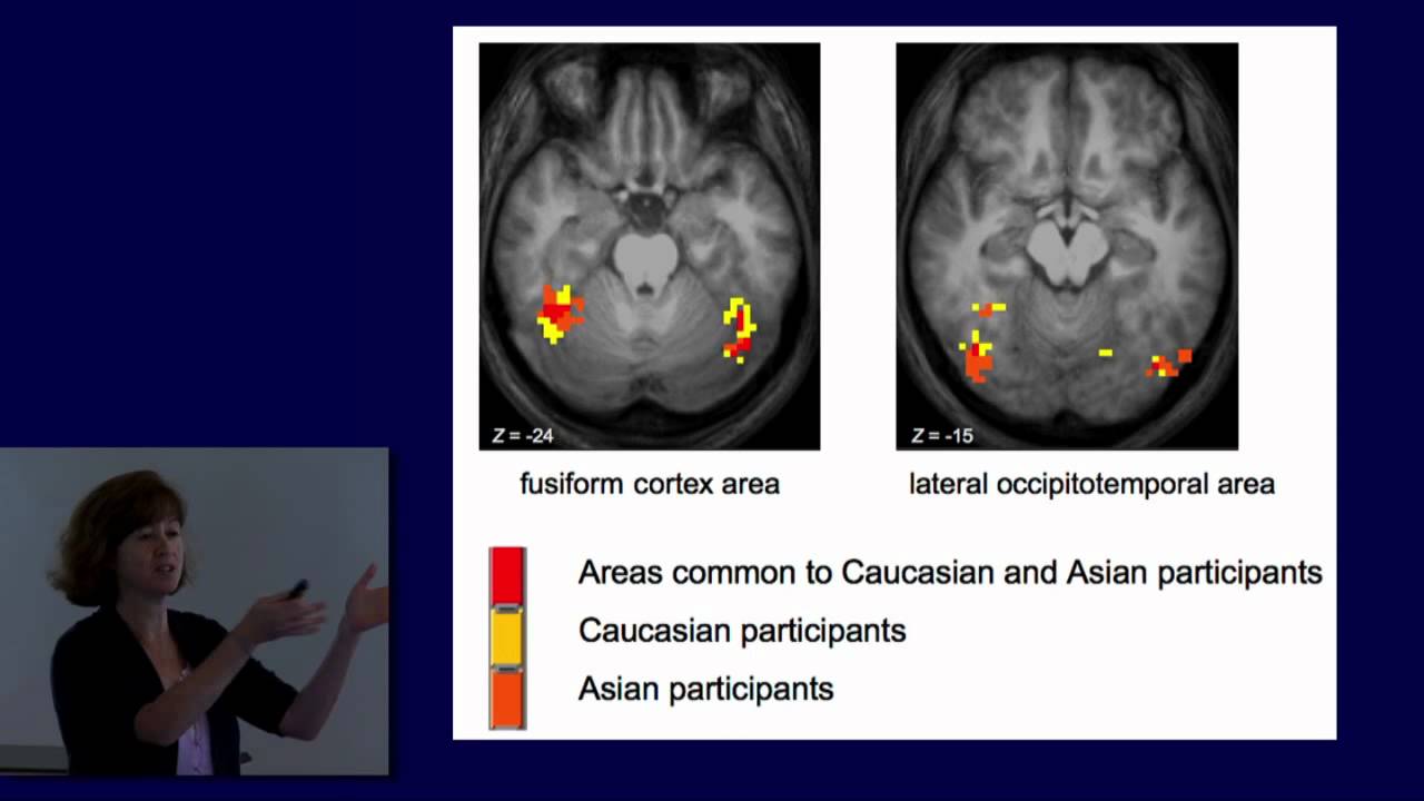 Understanding neural representation of facial identity, race, and viewpoint: