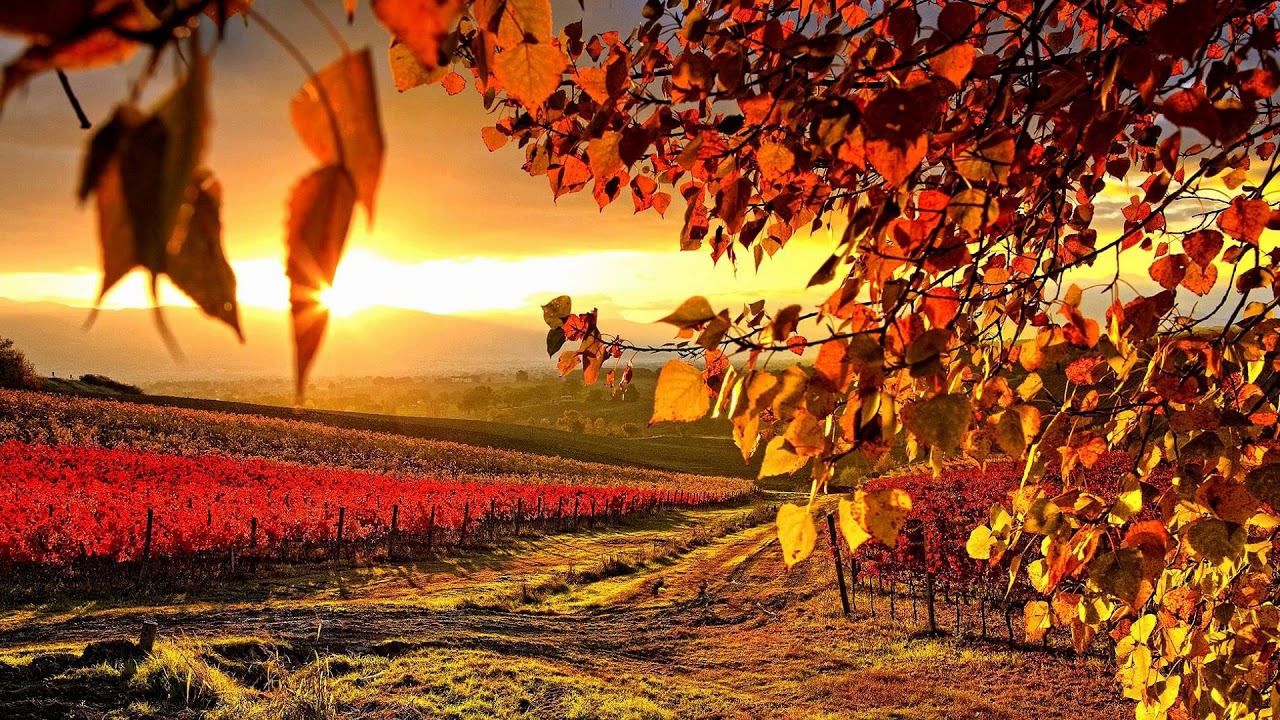 Игорь Северянин. Избранные стихотворения. - YouTube