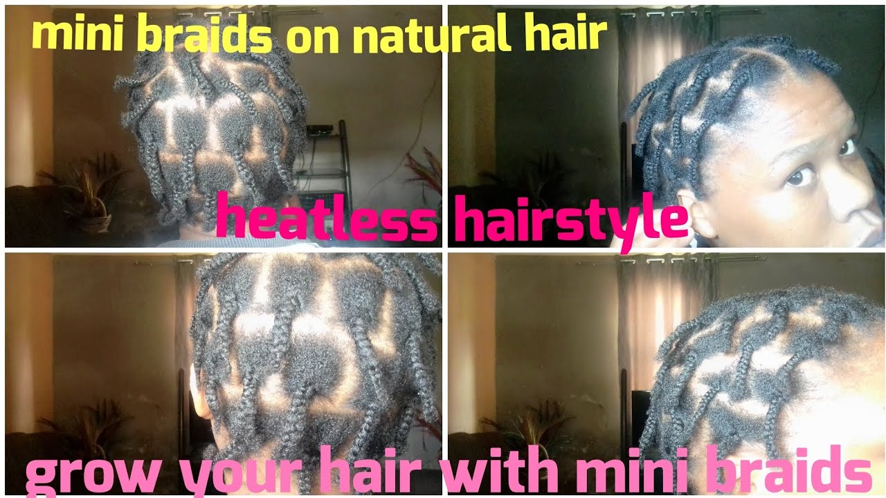 Mini braids tutorial on 4chair you wanna know how to do your mini ...
