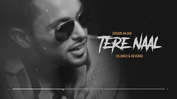 New Punjabi Songs 2022 | Tere Naal (Slowed & Reverb) Zohaib Amjad | Midnight Relaxing Songs