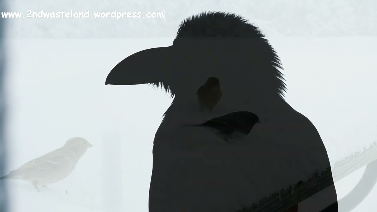 Birds of a Feather Poem - A Poem