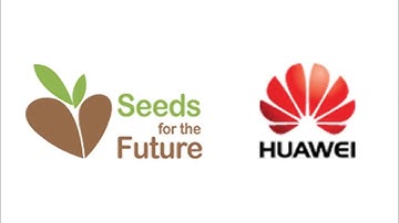 Seeds for the Future Mexico José Antonio Tejeda Martínez