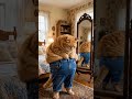 This cat forgot one important detail... the old pants no longer fit 😹👖🐱😂🐾 #FunnyCatLife #PetComedy