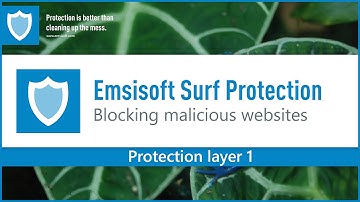 Emsisoft Surf Protection vs Malicious hosts and Phishing domains