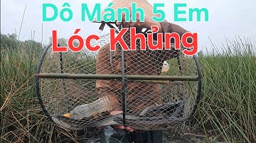 Một Lờ Dô 5 Con Cá Lóc Đồng Khủng 😱