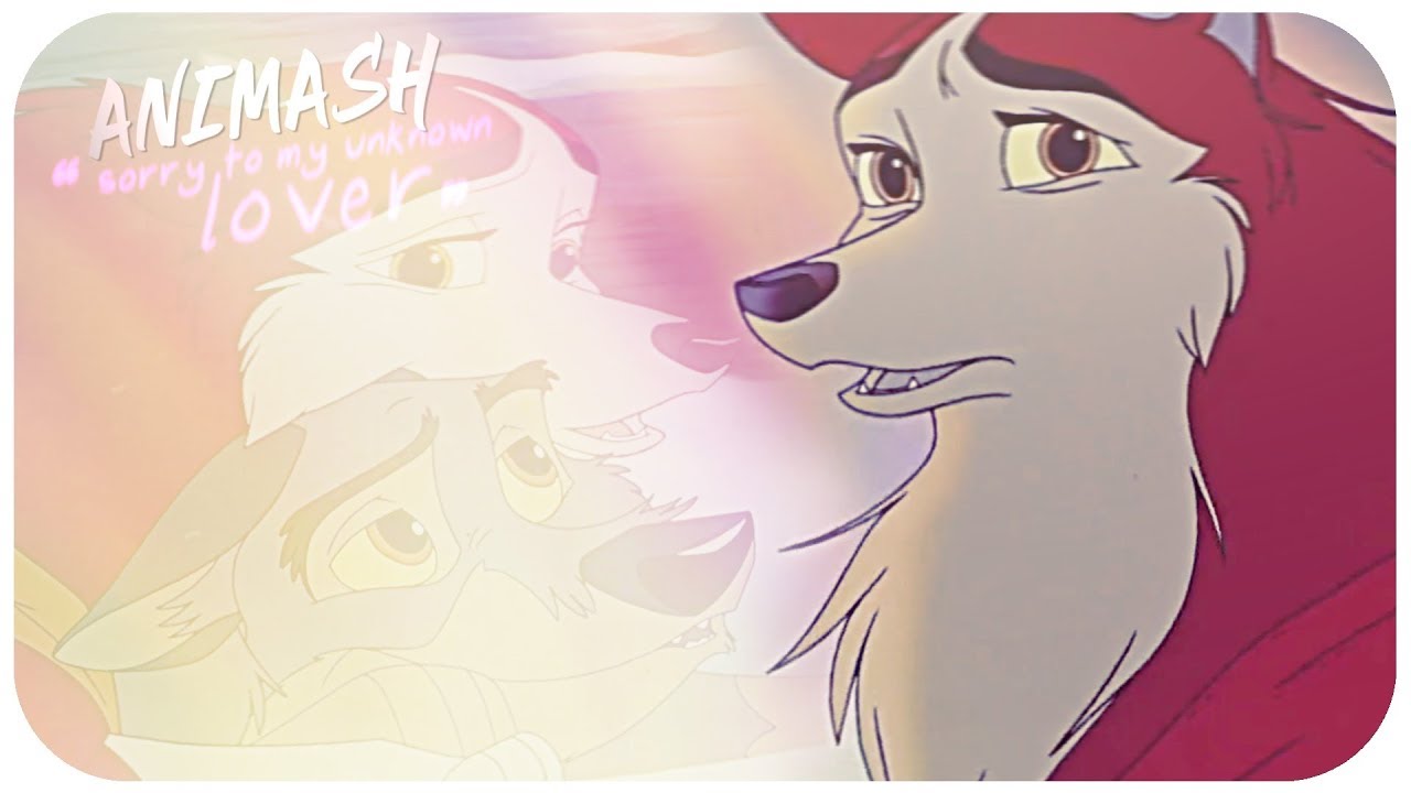 Animash || ❝ Sorry to my unknown lover ❞