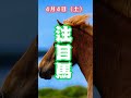 中央競馬予想 4月4日 注目馬#shorts