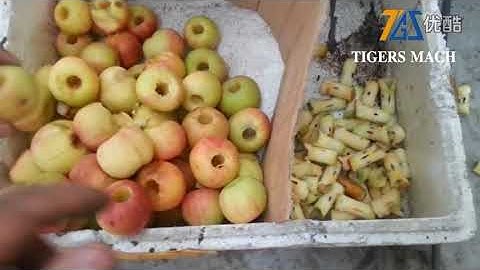 Gala core pitting and apple seed remover machine