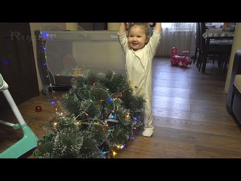 1 წლის ლილემ პირველად ნახა საახალწლო ნაძვის ხე და... წააქცია