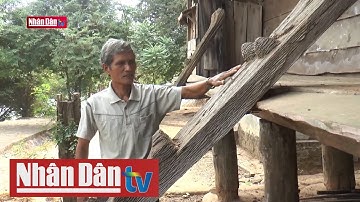 Buôn đồng bào dân tộc Ê Đê cổ nhất trước nguy cơ biến mất