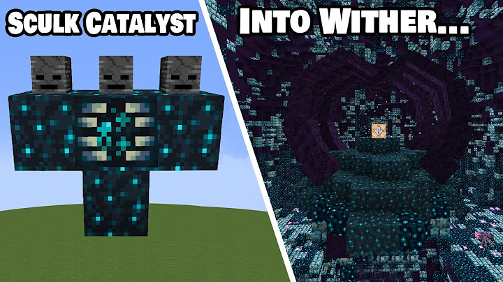 What Happens if We Sculk Catalyst into Wither Storm?