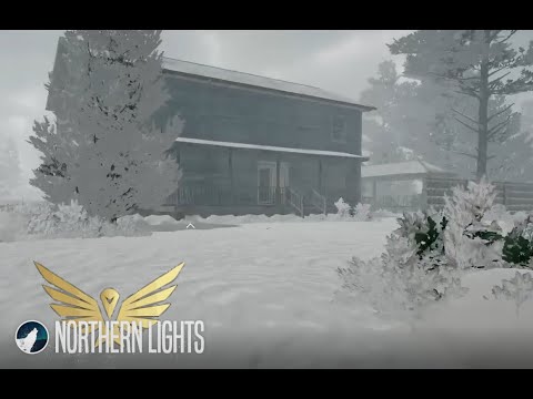 Northern Lights #2