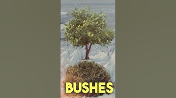 Are There Any Plants in Antarctica?