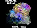 Diy Gubahan Hantaran Coklat Kahwin / Tunang Yang Simple 2020 #gubahanhantarankahwintunang