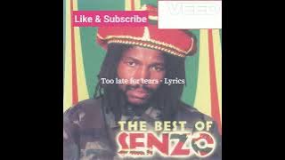 Senzo - Too late for tears LYRICS