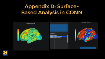 CONN Tutorial, Appendix D: Surface-Based Analysis