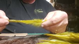 Information Preparing hackles and Turkey Tails Update