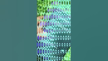 How to Enable WhatsApp default Fingerprint lock - Tech #Shorts