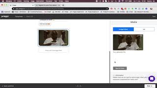 How To Create And Advent Chatbot For Employee Engagement With Prepp.io