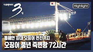 [다큐3일★하이라이트] 귀한 ‘금징어’라 불리던 동해안 오징어! 돌아온 오징어에 울고 웃는 죽변항 사람들 |“오매불망, 오징어- 울진 죽변항 72시간” (KBS 210620 방송)