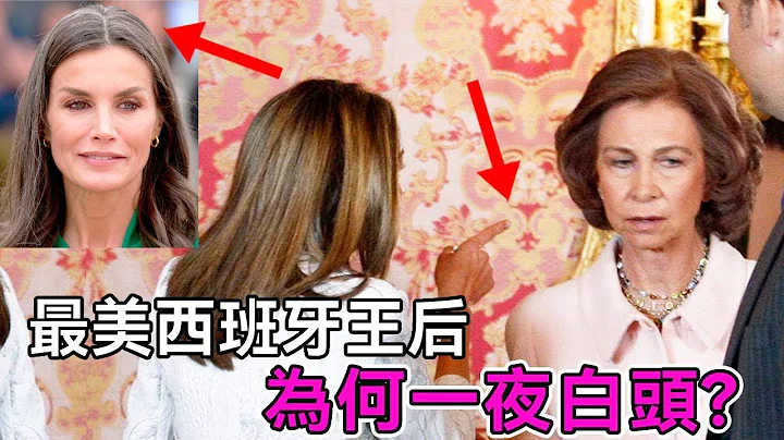 48岁西班牙王后操心出满头白发？与婆婆不合当场动手老皇后，平民王后私下受尽屈辱【谈笑娱生】#莱蒂西亚王后 #LetiziaofSpain 江泽民 - 天天要闻