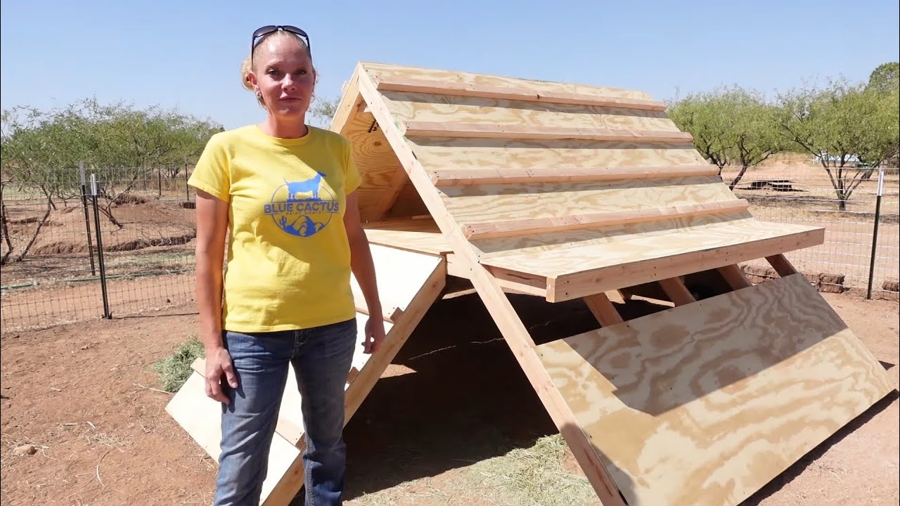 NEW GOAT PLAYHOUSE! YouTube